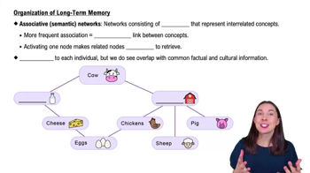 Organization of Long-Term Memory