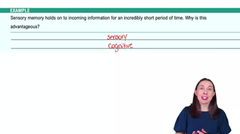 Storage - The Three Box Model of Memory Example 1