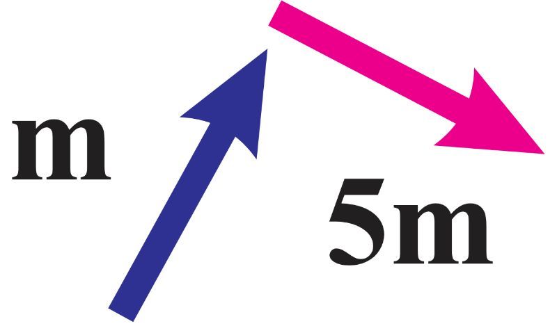 A blue vector labeled 'm' and a pink vector labeled '5m' pointing in different directions.