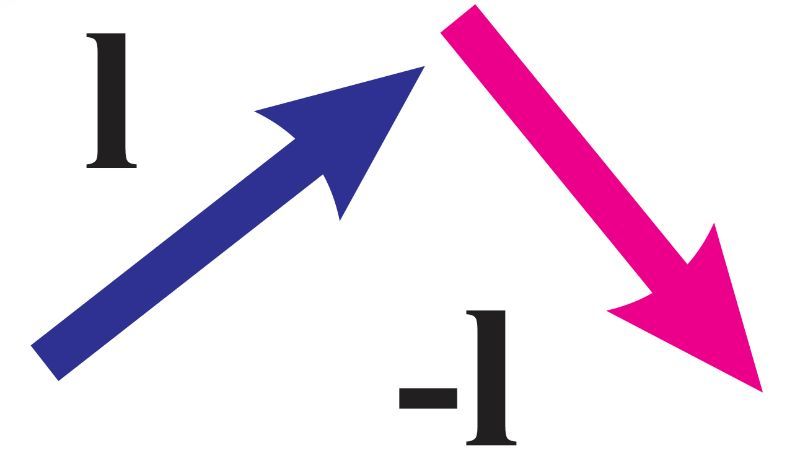 Two vectors: a blue vector pointing up and right, and a pink vector pointing down and right, both labeled 'l' and '-l'.