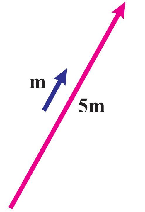 A blue vector labeled 'm' and a pink vector labeled '5m' aligned diagonally.