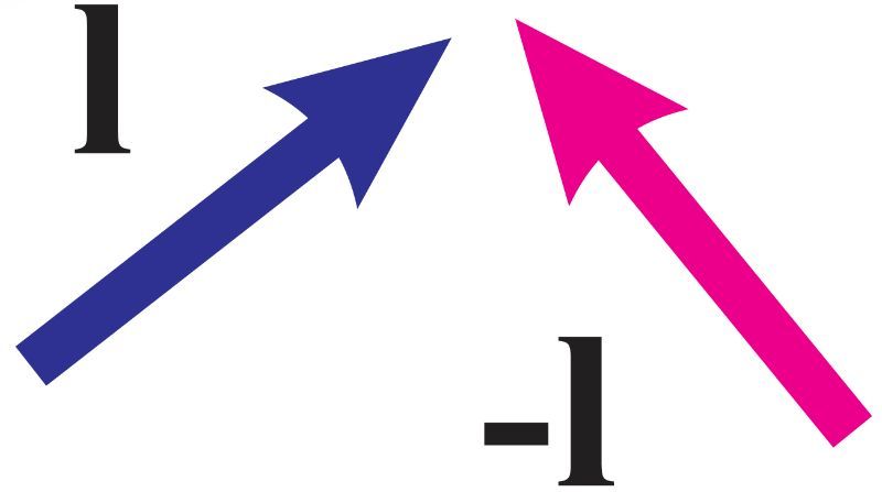 Two vectors: a blue vector pointing up and right, and a pink vector pointing up and left, both labeled 'l' and '-l'.