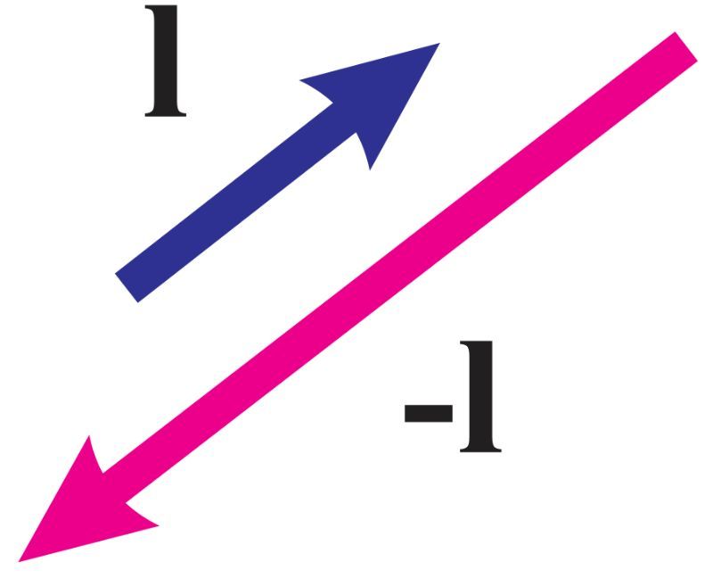 Two vectors: a blue vector pointing up and right, and a pink vector pointing down and left, both labeled 'l' and '-l'.