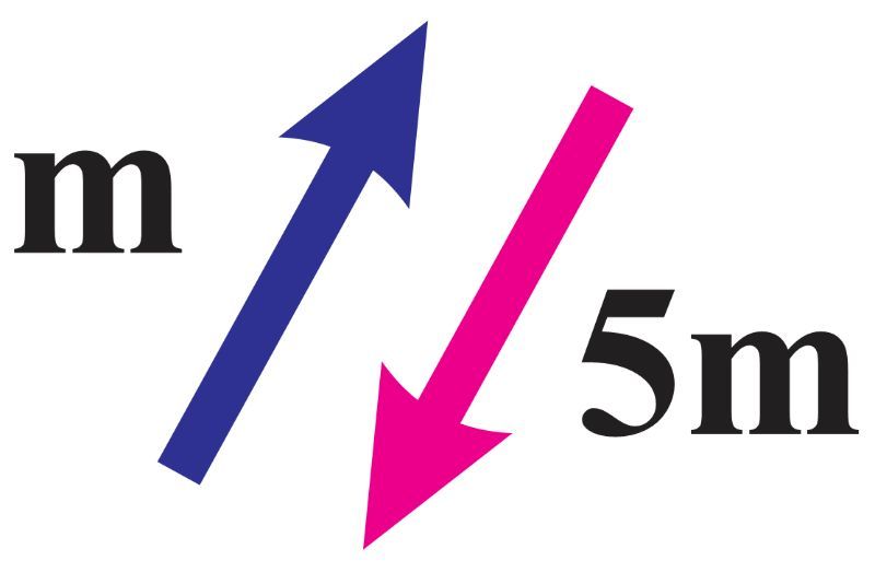 Two vectors, one blue labeled 'm' and one pink labeled '5m', crossing each other.