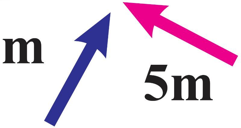 A blue vector labeled 'm' and a pink vector labeled '5m' diverging upwards.