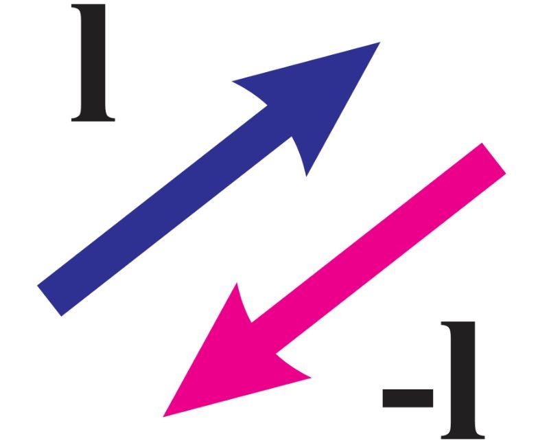 Two vectors: a blue vector pointing up and right, and a pink vector pointing down and left, both labeled 'l' and '-l'.