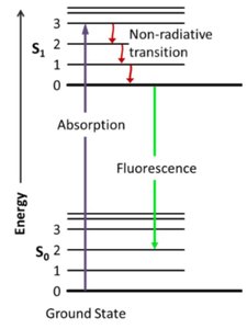 Jablonski diagram for fluorescence