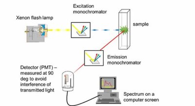 Fluorescence spectrometer schematic