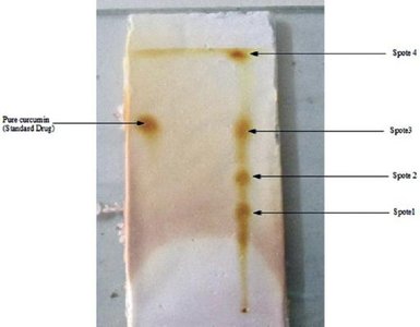 TLC plate visualized with iodine vapor