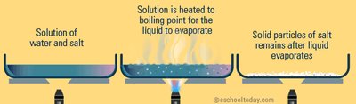Evaporation of water from salt solution