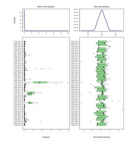 Data normalization before and after