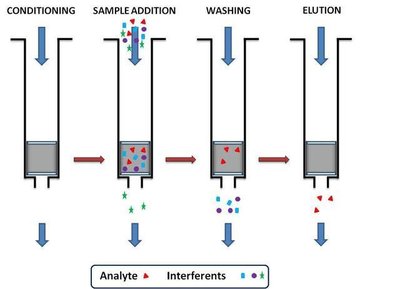 Diagram of the four main steps in SPE