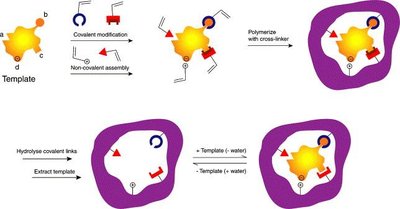 Molecularly imprinted polymer formation