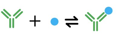 Antibody-antigen binding equilibrium