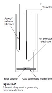 Schematic diagram of a gas-sensing membrane electrode
