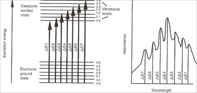 Carrots as example of colored compounds (beta-carotene)