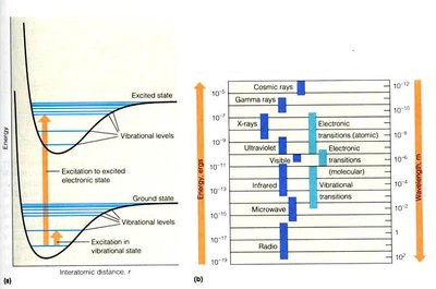 Molecular absorption spectrum as fingerprint