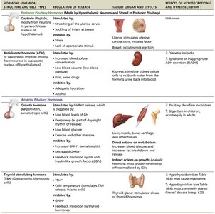 Table of posterior pituitary hormones, regulation, effects, and disorders