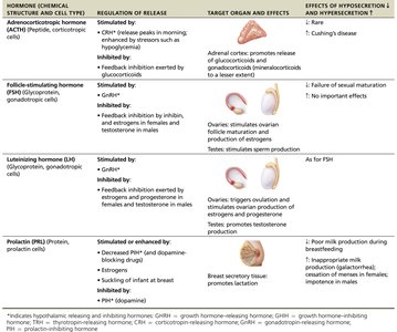 Table of anterior pituitary hormones, regulation, effects, and disorders