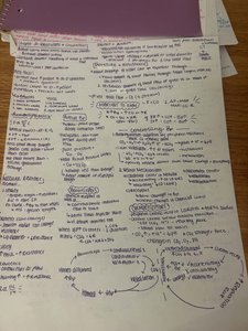 Handwritten diagram of metabolic pathways and regulation
