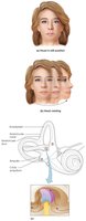 Dynamic equilibrium response