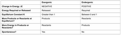 Enzyme activity and reaction rate graph
