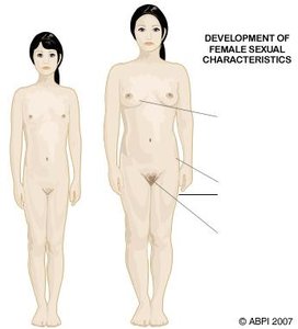 Development of female secondary sexual characteristics