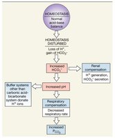 Metabolic Alkalosis