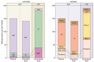 Cations and Anions in Body Fluids
