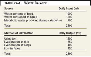 Water Balance Table