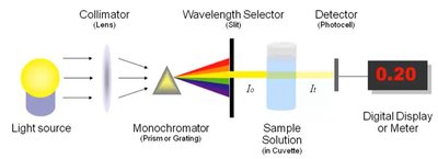 Spectrophotometer diagram for optical density measurement