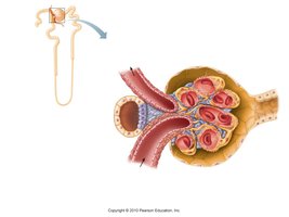 Filtration membrane structure