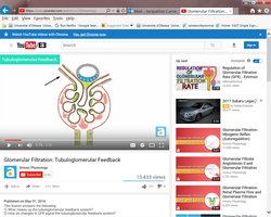 Myogenic mechanism video screenshot