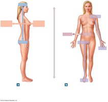 Directional Terms Illustrated
