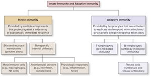 Comparison chart of innate and adaptive immunity