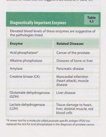 Diagnostically important enzymes