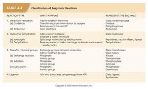Classification of enzymatic reactions