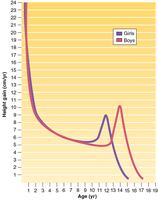Growth in height during adolescence for boys and girls