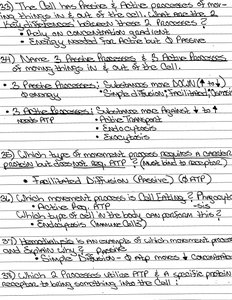 Handwritten notes on cell membrane permeability and transport