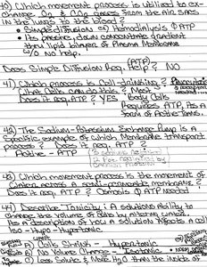 Handwritten notes on vesicular transport and endocytosis