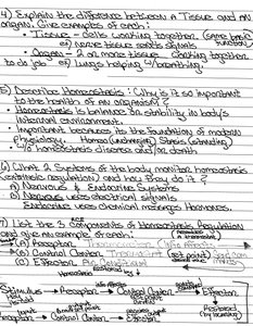 Handwritten notes on tissues, organs, and homeostasis