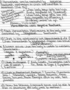 Handwritten notes on negative feedback and homeostasis