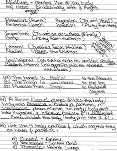 Handwritten notes on anatomical terminology and body directions