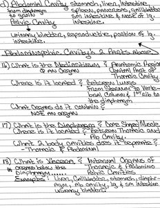 Handwritten notes on body cavities and organs