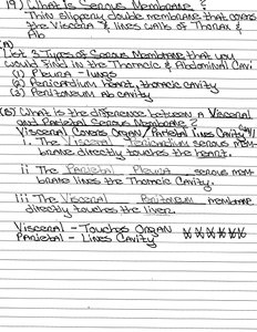 Handwritten notes on serous membranes