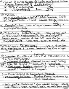 Handwritten notes on lipids in plasma membrane