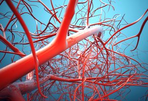 3D illustration of blood vessels