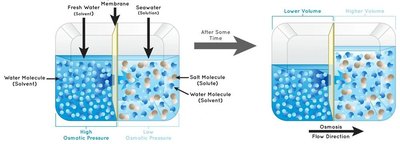 Osmosis and pressure differences across a membrane