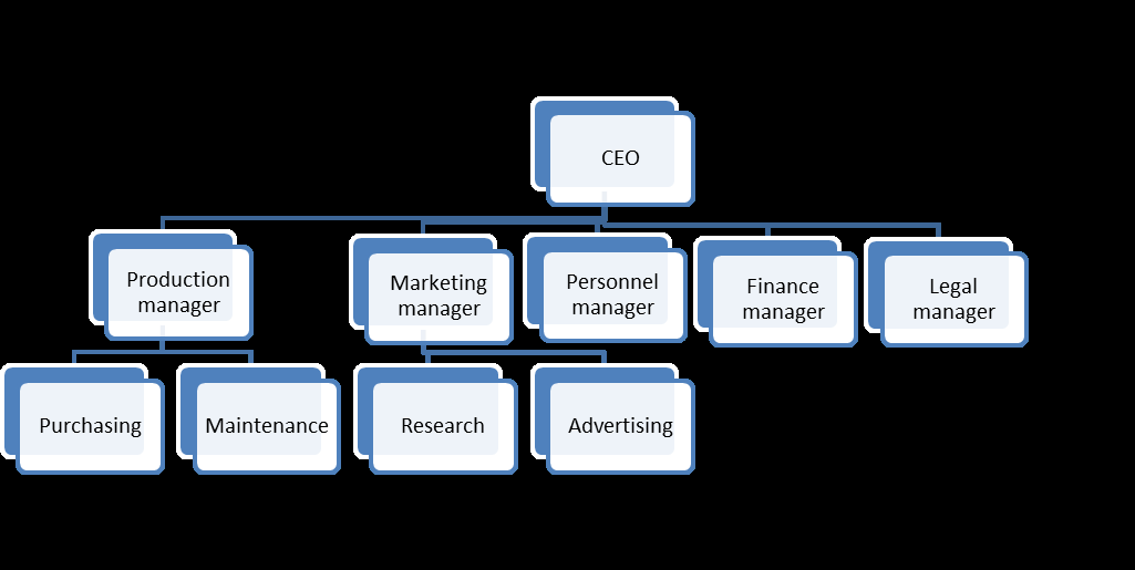 Functional organizational chart