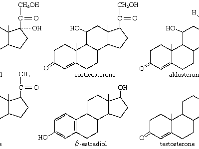 Steroid structures